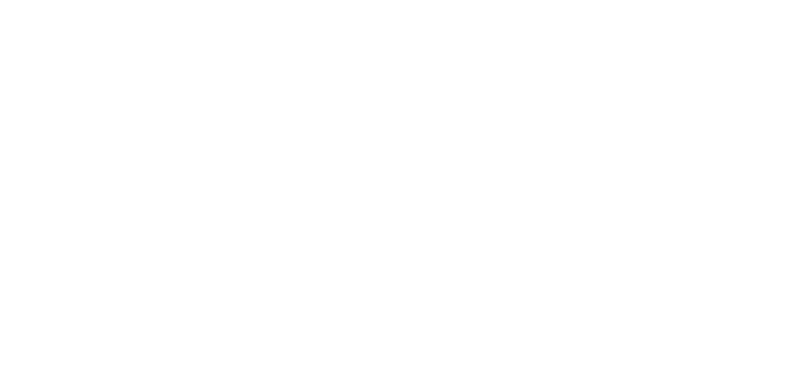 Zaiken-Capital-Investment-Portfolio-L1/L2-Infrastructure-Holochain